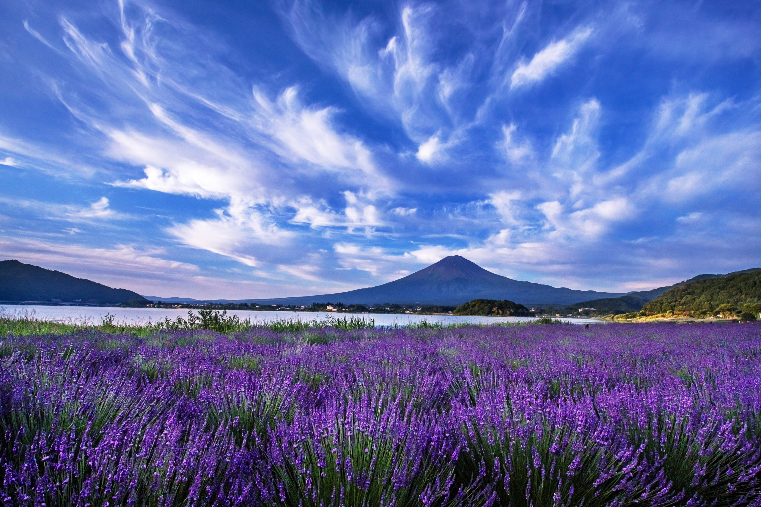 山梨県富士河口湖町